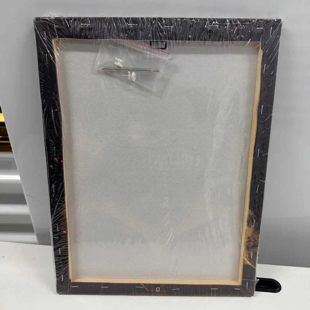 Butterfly Magic Open Book Canvas Wall Art Fantasy Library Decor 12x16 New